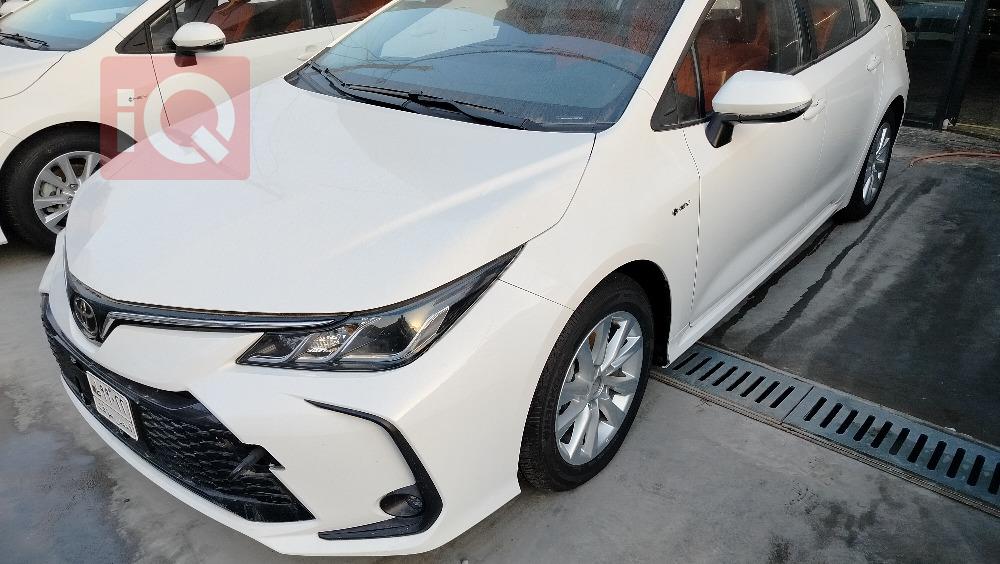 تويوتا كورولا